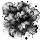 Ink Splash