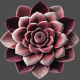 Burgundy Gradient Flower