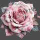 Pink Floral Print Fabric Rose