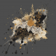 Lace n Paint Accent 02