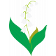 Lily-of-the-valley Flower4