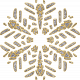 Shimmery Snowflake 09