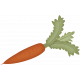 Homestead- carrot