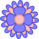Flower blue and peach