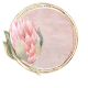 Pretty Botanics Circle Sticker 3