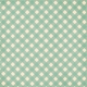 Spring Day Collab - March Winds Green Gingham Paper