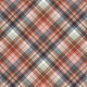 Warm n Woodsy Plaid Paper 02