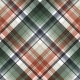 Warm n Woodsy Plaid Paper 03