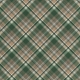 Warm n Woodsy Plaid Paper 05