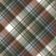 Warm n Woodsy Plaid Paper 07