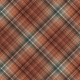 Warm n Woodsy Plaid Paper 10