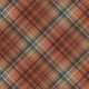 Warm n Woodsy Plaid Paper 10