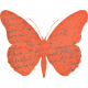 Inner Wild Orange Butterfly 