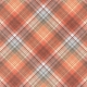 Inner Wild Plaid Paper 