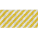 Bohemian Sunshine Element Striped Ribbon