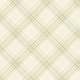 Into the Wild Plaid Paper