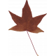 Autumn Bramble Leaf