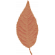 Autumn Bramble Tan Leaf