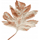 Autumn Bramble Faded Leaf