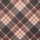 Autumn Bramble Plaid Paper 03