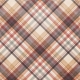 Autumn Bramble Plaid Paper 10