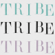 My Tribe- Tribe Journal Card 4x4