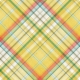 Peach Lemonade Plaid Paper 10