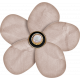 Cherish Cream Flower
