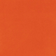 Heard the Buzz? Orange Solid Paper