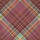 Fall Flurry Plaid Paper 06