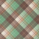 Fall Flurry Plaid Paper 07