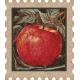 Mulled Cider Apple Postage Stamp