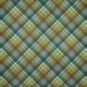 Mulled Cider Plaid Paper 07