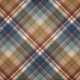 Mulled Cider Plaid Paper 08