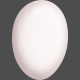 Chicken Keeper Element Egg 3