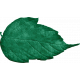 Chicken Keeper Element Leaf