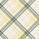 Naturally Curious Plaid Paper 09