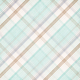 Shabby Chic Plaid Paper 11