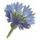 Chicory Lane Element Sticker Flower