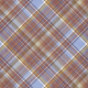 Chicory Lane Plaid Paper 12