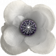 Winters Repose Element White Flower