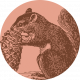 An Autumn To Behold Mini Element Squirrel Flair Alt