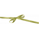 A Spring To Behold Element Green Bow