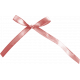 A Spring To Behold Element Pink Bow