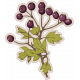 A Spring To Behold Element Sticker Berry Branch