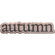 Frosty Fall Wooden Word Art- Autumn