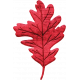 Cranberry Red Wood Leaf