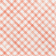 Cranberry Gingham Paper 2