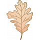 Perfect Pear Cream Leaf