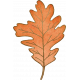 Perfect Pear Orange Leaf